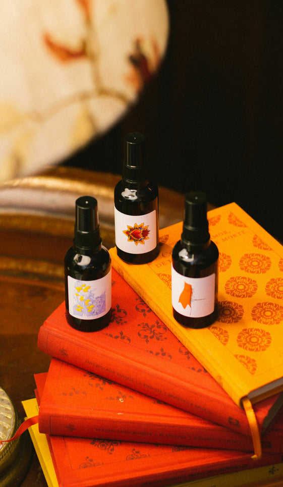 Trio de Perfumes Celebration Box